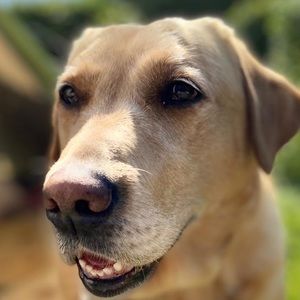 Meet your Posher, Edward